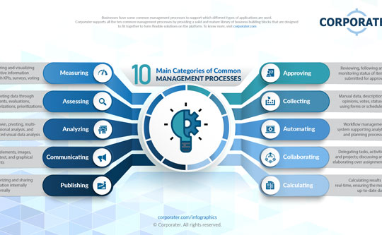 10 Common Management Processes
