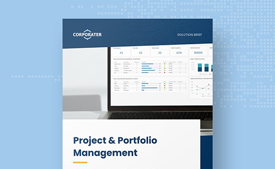 Solution-Brief-project-portfolio-management