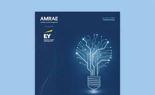 RMIS-Panorama-2025_Corporater_TN